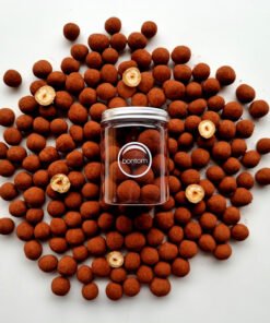 Caramelized hazelnuts in blonde chocolate